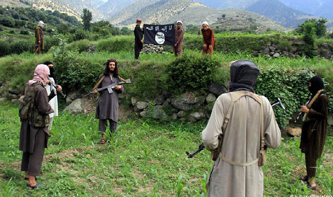 نیکلسون: ۳۰۰ جنگجوی داعش  در افغانستان کشته شده اند